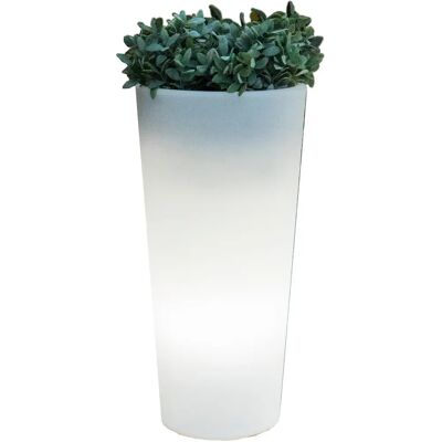 Marca NEWGARDEN - Vaso Ficus 60 con Luce RGB - Decorazione Interno/Esterno Marca NEWGARDEN - Vaso Ficus 60 con Luce RGB - Decorazione Interno/Esterno