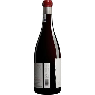 Descendientes de J. Palacios Corullón 2022 - Vino Tinto Descendientes de J. Palacios Corullón 2022 - Vino Tinto