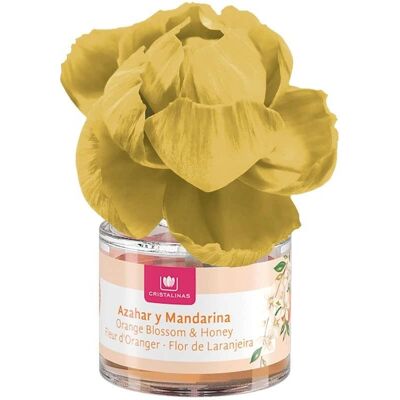 Ambientador Flor de Naranja Mandarina Cristalinas - Unisex Ambientador Flor de Naranja Mandarina Cristalinas - Unisex