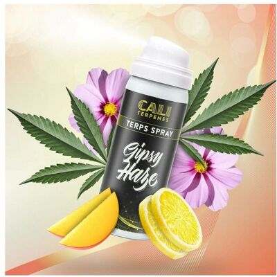 Cali Terpenes Gipsy Haze - Organisches Terpensäurespray für Lebensmittel & Extrakte Cali Terpenes Gipsy Haze - Organisches Terpensäurespray für Lebensmittel & Extrakte