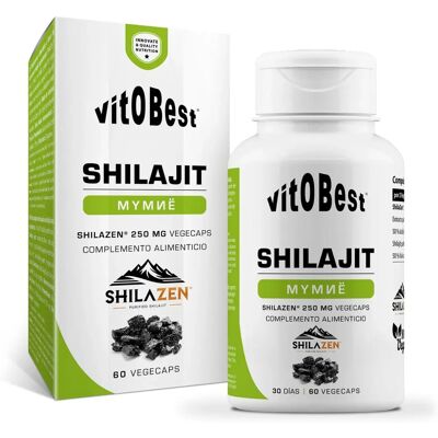 Vitobest Himalaya Shilajit - Energia & Resistência - 60 VegeCaps Vitobest Himalaya Shilajit - Energia & Resistência - 60 VegeCaps