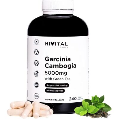Hivital Garcinia Cambogia 5000 mg - Capsule Vegane - Supporto per Perdita di Peso Hivital Garcinia Cambogia 5000 mg - Capsule Vegane - Supporto per Perdita di Peso