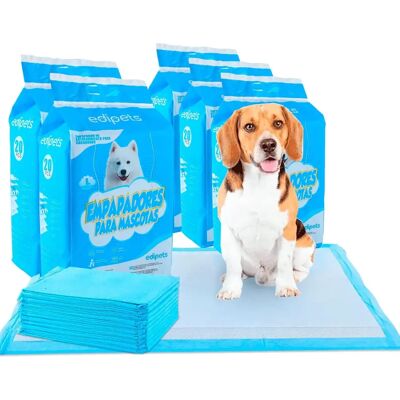 Coussins pour chiens Edipets - Superabsorbants, Tailles Variées - Publicité Coussins pour chiens Edipets - Superabsorbants, Tailles Variées - Publicité