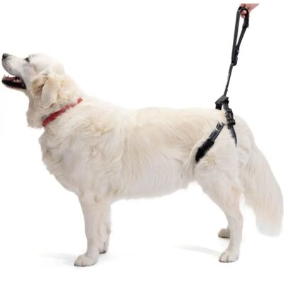 Harnais de support ORTOCANIS - Réglable, respirant, pour chiens avec mobilité - Publicité Harnais de support ORTOCANIS - Réglable, respirant, pour chiens avec mobilité - Publicité