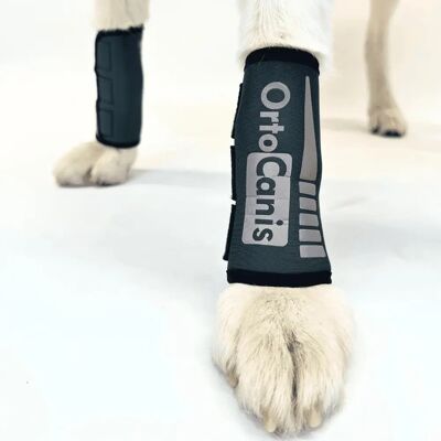 Support Poignet pour Chiens ORTOCANIS - Ligaments & Tendons - Publicité Support Poignet pour Chiens ORTOCANIS - Ligaments & Tendons - Publicité