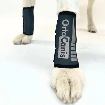ORTOCANIS Bracelet pour Chiens - Soutien Poignet Faible - Publicité ORTOCANIS Bracelet pour Chiens - Soutien Poignet Faible - Publicité