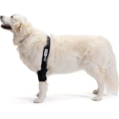 Protector de Coude pour Chien Ortocanis - Réglable pour Cartilage et Blessures - Publicité Protector de Coude pour Chien Ortocanis - Réglable pour Cartilage et Blessures - Publicité