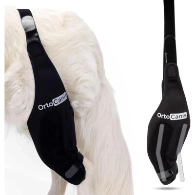 Orthocanis Immobilisateur de Genou pour Chiens - Soutien Post-Opératoire - Publicité Orthocanis Immobilisateur de Genou pour Chiens - Soutien Post-Opératoire - Publicité