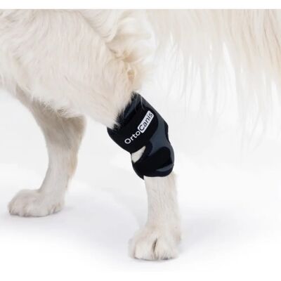 Support pour Cheville de Chien Ortocanis - Dispositif de Soutien - Publicité Support pour Cheville de Chien Ortocanis - Dispositif de Soutien - Publicité