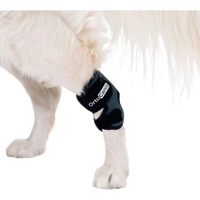 Orthocanis Support pour Chiens - Soutien pour Chevilles faibles et Post-Op - Publicité Orthocanis Support pour Chiens - Soutien pour Chevilles faibles et Post-Op - Publicité