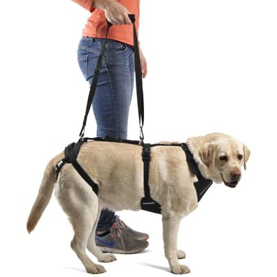 Harnais pour Chiens Ortocanis - Soutien Complet - Publicité Harnais pour Chiens Ortocanis - Soutien Complet - Publicité