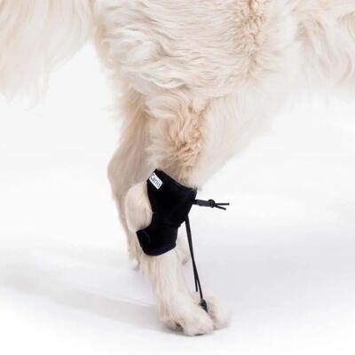 Correcteur Propioceptif ORTOCANIS - Dispositif pour Chiens - Publicité Correcteur Propioceptif ORTOCANIS - Dispositif pour Chiens - Publicité