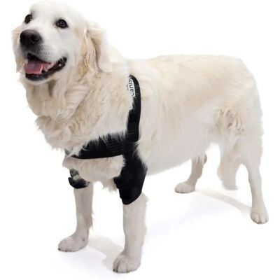 Ortocanis - Orthèse de Coude pour Chiens - Arthrite, Hygromes, Luxation - Publicité Ortocanis - Orthèse de Coude pour Chiens - Arthrite, Hygromes, Luxation - Publicité