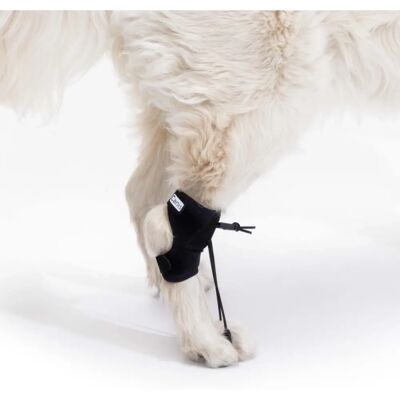 Correcteur Propioceptif ORTOCANIS - Support pour Chien - Publicité Correcteur Propioceptif ORTOCANIS - Support pour Chien - Publicité