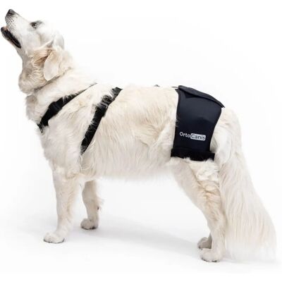 Support de Hanche Ortocanis - Réglable pour Chiens avec Dysplasie ou Arthrose - Publicité Support de Hanche Ortocanis - Réglable pour Chiens avec Dysplasie ou Arthrose - Publicité