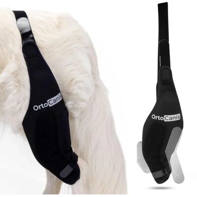 Attelle de Genou pour Chiens Ortocanis - Support Post-Chirurgical Réglable - Publicité Attelle de Genou pour Chiens Ortocanis - Support Post-Chirurgical Réglable - Publicité