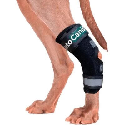 Orthocanis Support - Orthèse de Tarse pour Chiens - Publicité Orthocanis Support - Orthèse de Tarse pour Chiens - Publicité