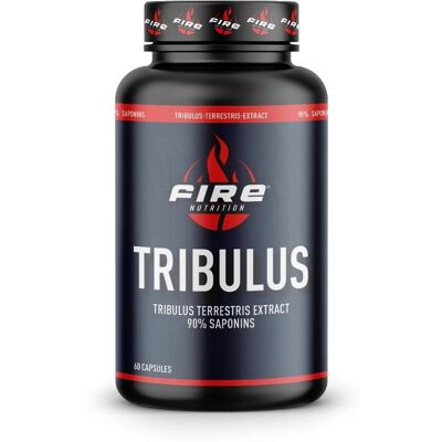 Fire Nutrition Tribulus Terrestris - 90% Saponine - Nahrungsergänzung Fire Nutrition Tribulus Terrestris - 90% Saponine - Nahrungsergänzung