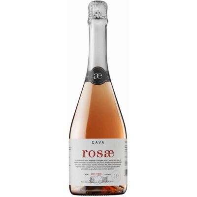 RIMARTS Rosae Pinot Negro Espumante - Cava D.O. RIMARTS Rosae Pinot Negro Espumante - Cava D.O.