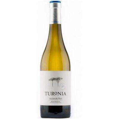 Quinta de Couselo Turonia 2021 - Weißwein Quinta de Couselo Turonia 2021 - Weißwein