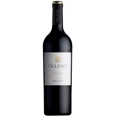 Tinto Figuero 12 Mois Tempranillo 2020 - Vin Rouge - Publicité Tinto Figuero 12 Mois Tempranillo 2020 - Vin Rouge - Publicité