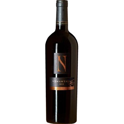 Virgen del Galir Pagos de Galir Mencía 75cl - Vin rouge - Publicité Virgen del Galir Pagos de Galir Mencía 75cl - Vin rouge - Publicité