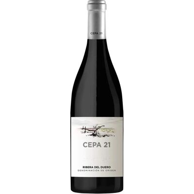 Vin Cepa 21 Ribera del Duero Tempranillo - Rouge - Publicité Vin Cepa 21 Ribera del Duero Tempranillo - Rouge - Publicité