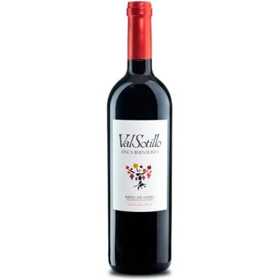 Valsotillo Finca Buenavista 2018 - Rotwein Valsotillo Finca Buenavista 2018 - Rotwein