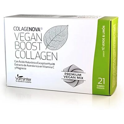 Vaminter Colagenova Vegano Té Verde Limón - Bebida de Colágeno Vegano Vaminter Colagenova Vegano Té Verde Limón - Bebida de Colágeno Vegano