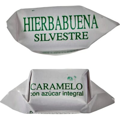 Silvestre Peppermint Candies - Gluten-Free Whole Sugar - Candies Silvestre Peppermint Candies - Gluten-Free Whole Sugar - Candies