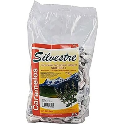 Caramelos Surtidos Silvestre - Tentempié Saludable Caramelos Surtidos Silvestre - Tentempié Saludable