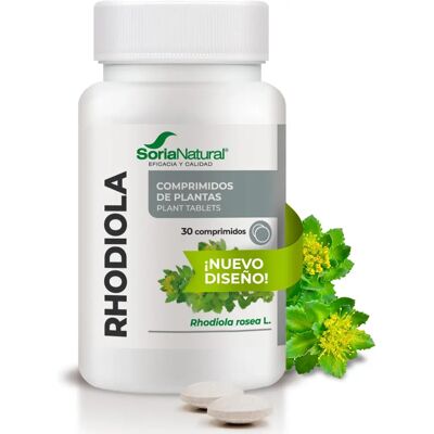 MGDOSE Rhodiola 500 mg - Nahrungsergänzung MGDOSE Rhodiola 500 mg - Nahrungsergänzung
