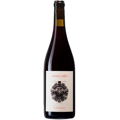 4 Kilos Callet 2020 - Vino Rosso Biologico 4 Kilos Callet 2020 - Vino Rosso Biologico