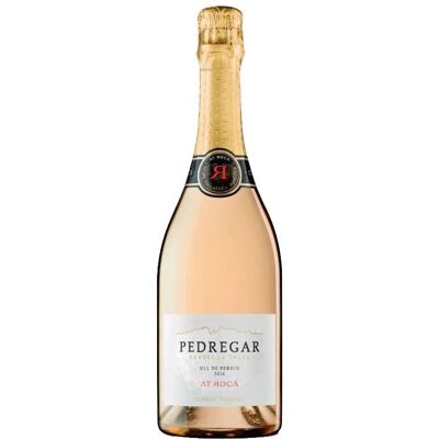 Roca Pedregar 2017 - Bio Sekt - Penedès 36 Monate Roca Pedregar 2017 - Bio Sekt - Penedès 36 Monate