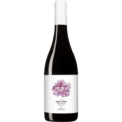 Coca i Fitó Maragda - Vino Rosso Montsant 2015-2018 Coca i Fitó Maragda - Vino Rosso Montsant 2015-2018