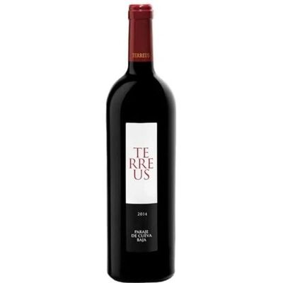 Vino Rosso Biologico Terreus 2019 di Bodegas Mauro - Rosso Vino Rosso Biologico Terreus 2019 di Bodegas Mauro - Rosso