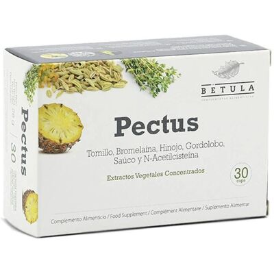 Betula Pectus 30 Kapseln - Atemwegssupport Betula Pectus 30 Kapseln - Atemwegssupport