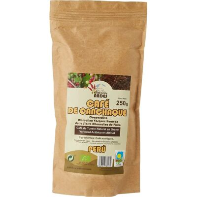 El Oro de los Andes Canchaque Café Arabica Bio de Haute Altitude - 250g - Publicité El Oro de los Andes Canchaque Café Arabica Bio de Haute Altitude - 250g - Publicité