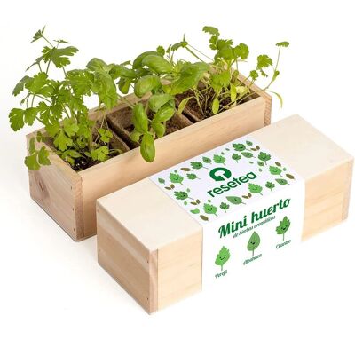 Resetea Mini Orto di Erbe Aromatiche - Kit da Interno Resetea Mini Orto di Erbe Aromatiche - Kit da Interno