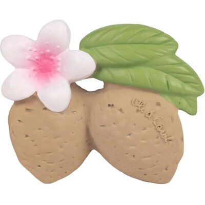 Anello da dentizione Aly The Almond di Oli & Carol - Giocattolo e dentizione per bambini Anello da dentizione Aly The Almond di Oli & Carol - Giocattolo e dentizione per bambini