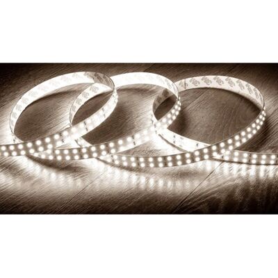 LEDKIA - Striscia LED Doppia 12V dc 204 LED/m 5m IP20 - Bianco Freddo 5000K LEDKIA - Striscia LED Doppia 12V dc 204 LED/m 5m IP20 - Bianco Freddo 5000K