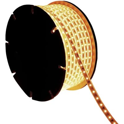 EFECTOLED Striscia LED 50m 12mm Bianco Caldo - Striscia LED EFECTOLED Striscia LED 50m 12mm Bianco Caldo - Striscia LED