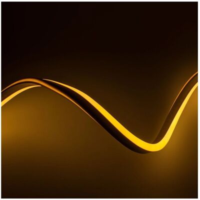 Efectoled - Striscia LED Neon 48V dc 120 LED/m Arancione IP65 - Taglio su Misura Efectoled - Striscia LED Neon 48V dc 120 LED/m Arancione IP65 - Taglio su Misura