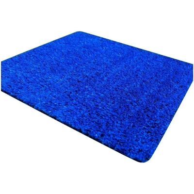 Jardin202 - Césped Artificial ColorGrass 10mm Azul - Rollos Resistente a la Intemperie - Fácil Instalación - 2x20m Jardin202 - Césped Artificial ColorGrass 10mm Azul - Rollos Resistente a la Intemperie - Fácil Instalación - 2x20m
