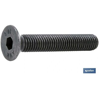 COFAN Tornillo M-20 x 60 hexagonal - Grado 10.9 - Pack 25 COFAN Tornillo M-20 x 60 hexagonal - Grado 10.9 - Pack 25