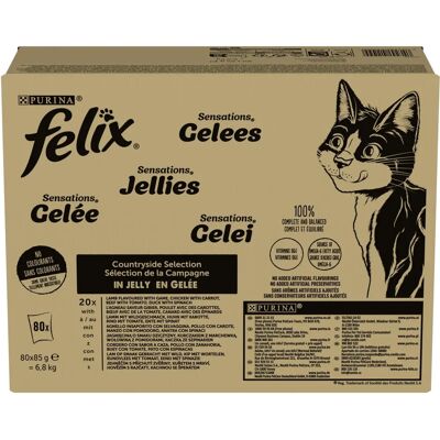Felix Marke Modell Variante1 Variante2 - Katzennahrung Felix Marke Modell Variante1 Variante2 - Katzennahrung