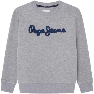 Pepe Jeans Modell PB581613 Grå Tröja - Casual Pepe Jeans Modell PB581613 Grå Tröja - Casual