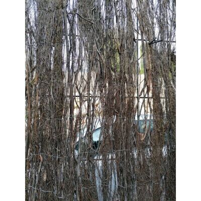 SUINGA Malla de Privacidad para Jardín - 1x3m, 90% Ocultación SUINGA Malla de Privacidad para Jardín - 1x3m, 90% Ocultación