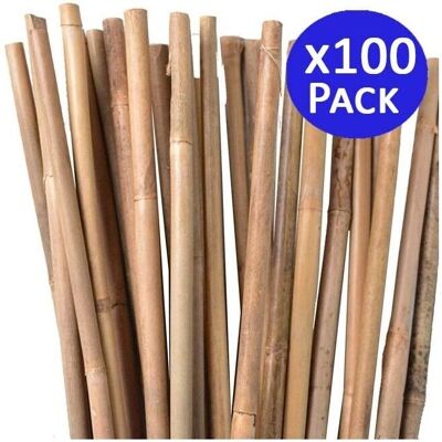 SUINGA Tutor de Bambú Natural - 100 cm, 8-10 mm - Soporte para Plantas y Árboles SUINGA Tutor de Bambú Natural - 100 cm, 8-10 mm - Soporte para Plantas y Árboles