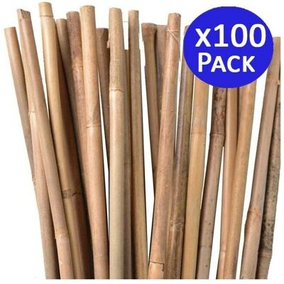 SUINGA Estacas de Bambú - 105cm, 8-10mm, Pack 100 SUINGA Estacas de Bambú - 105cm, 8-10mm, Pack 100
